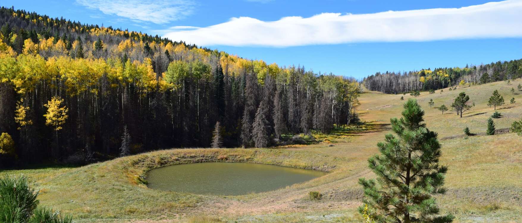 listing-5c057e8e216c2-wetmountainranch_FP.jpg