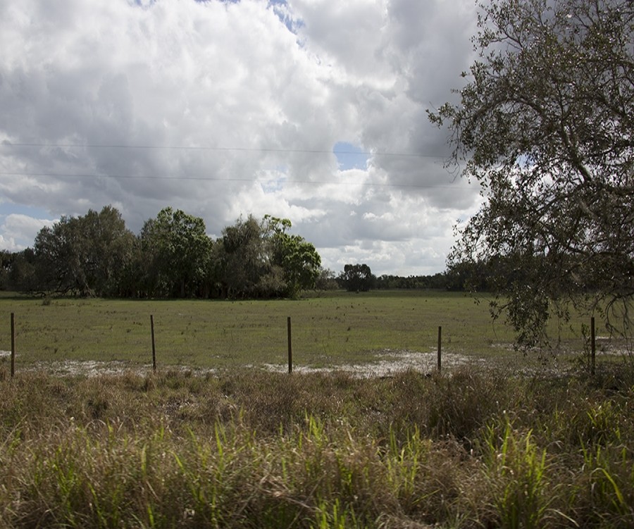 1826_1524157055_4.jpg