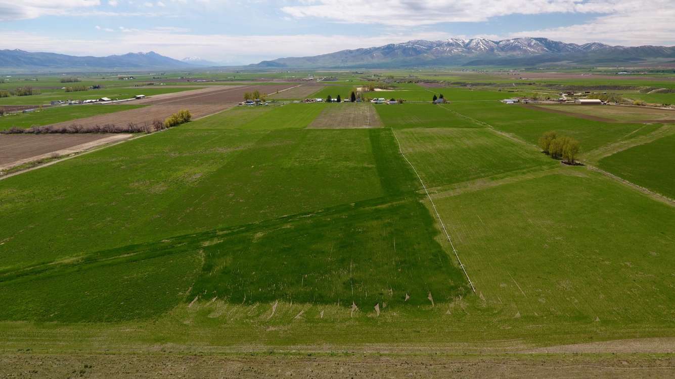 listing-5cd9f79f3d026-MaladFarmForSale-1.jpg
