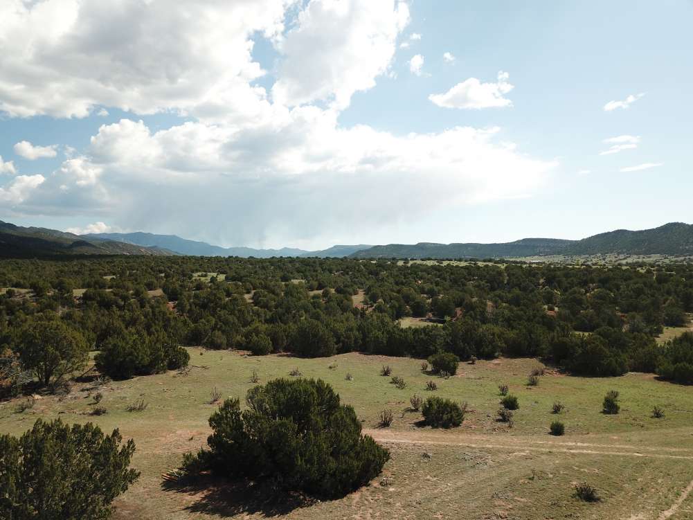 listing-5ce303cbe6710-2019-05-1409.47.56.jpg