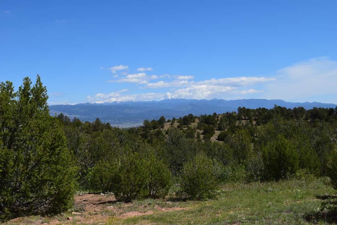 listing-5ced605d8c4a1-2019-05-2622.17.40.jpg