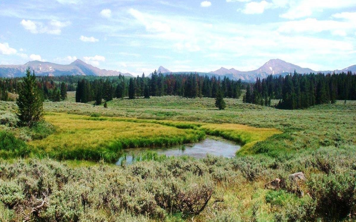 2182_1553016242_4.jpg
