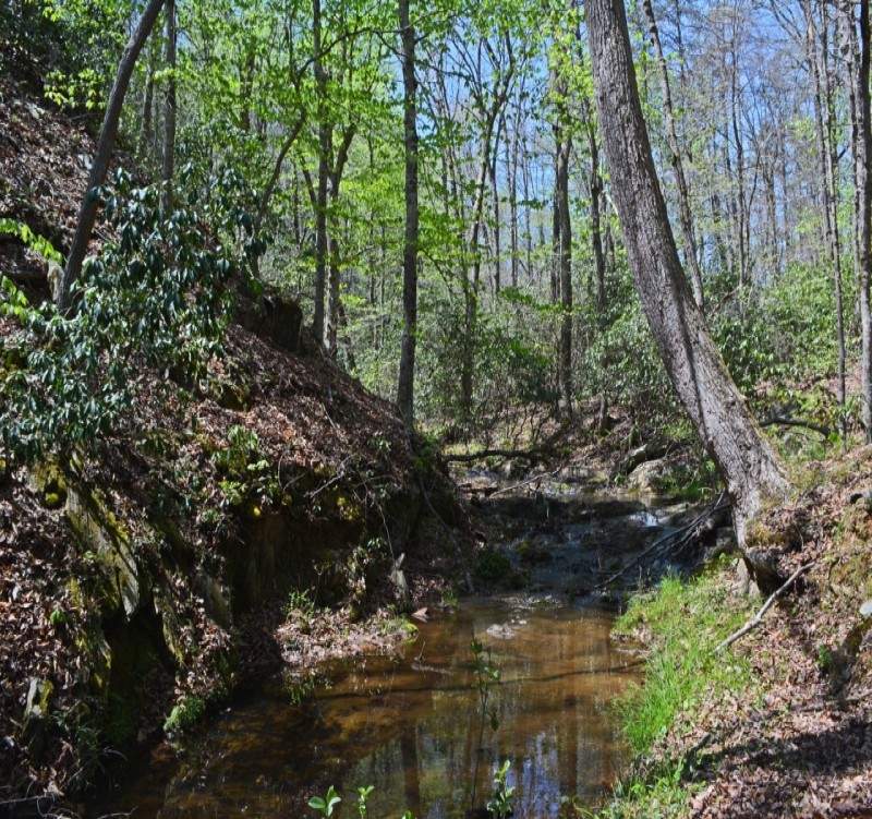 74342_1543942387_1.jpg