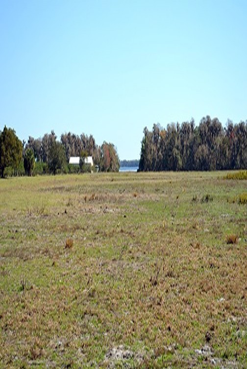 1826_1394130454_4.jpg