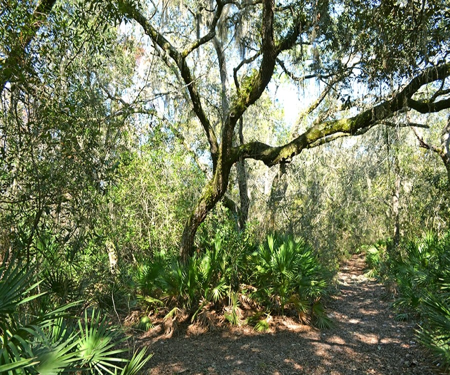 1826_1544626444_1.jpg