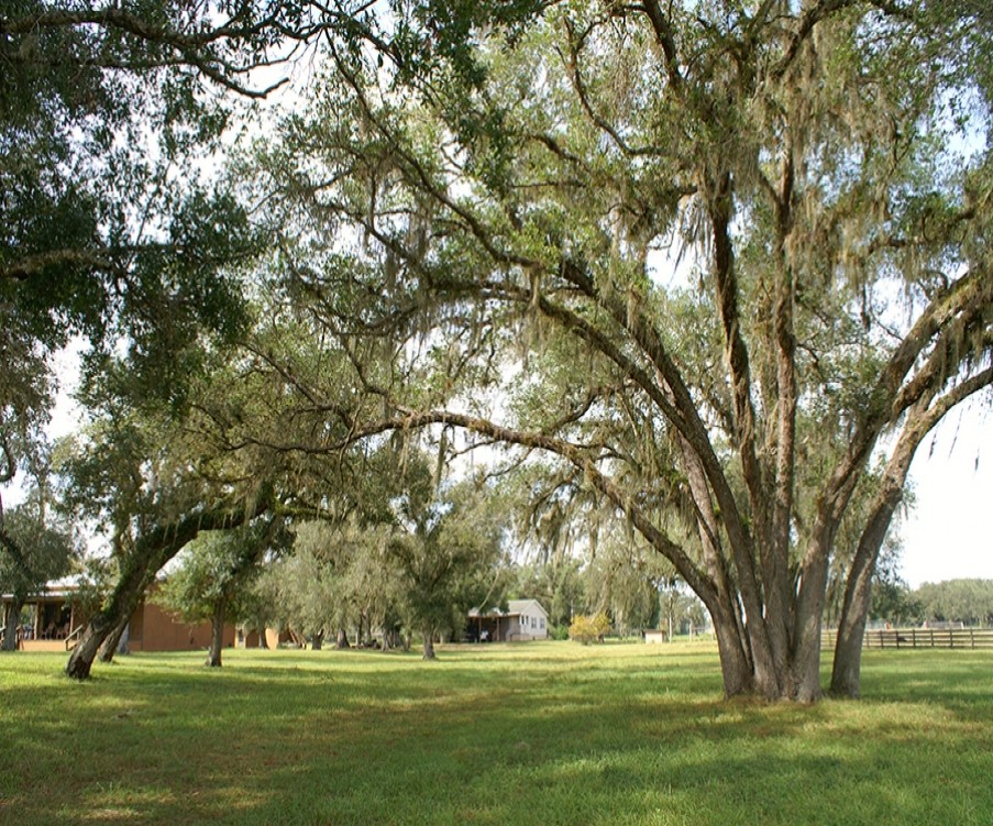 1826_1547051897_8.jpg