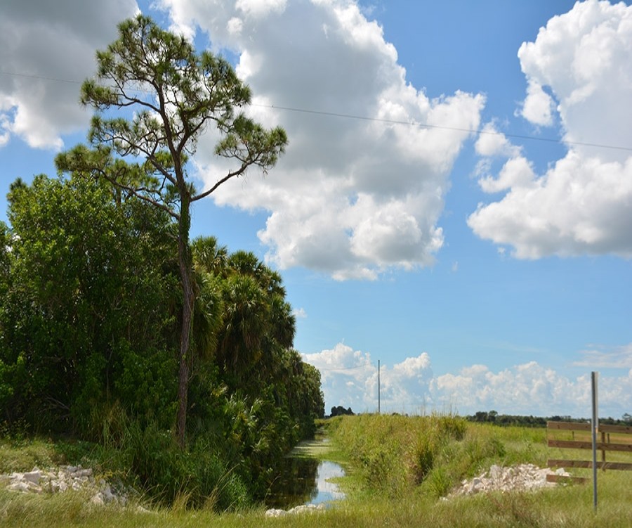 1826_1541176169_0.jpg