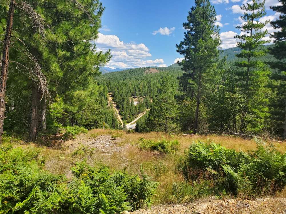 listing-5d37a15187513-20190720_134841.jpg