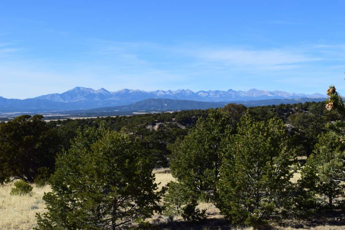 listing-5e1e42d0a4523-2019-11-1800.59.21.jpg