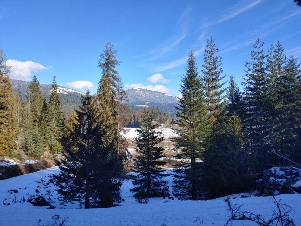 listing-6010a5c704008-thumbnail_0122211319_HDR.jpg