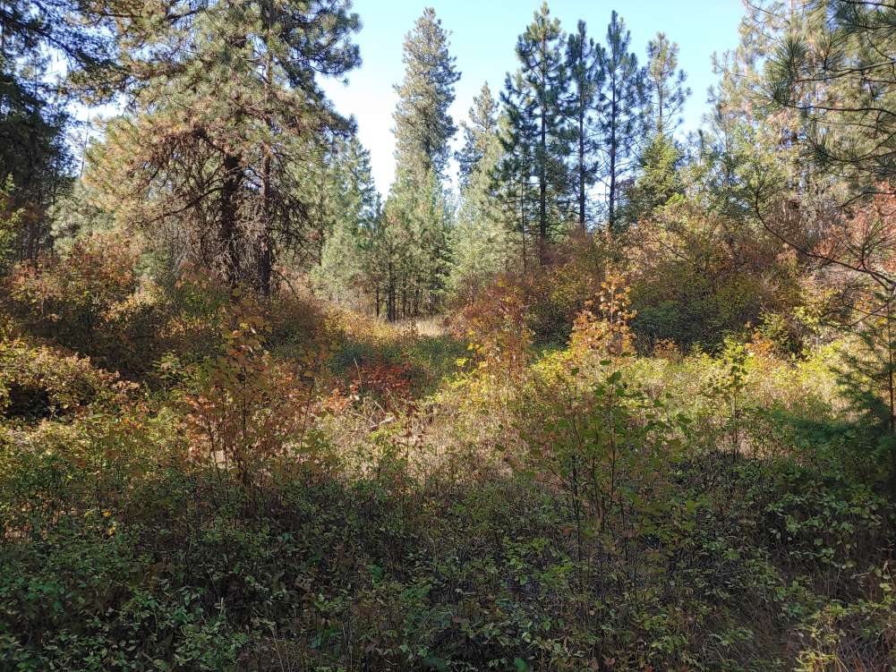 listing-61310725cdbd7-0901211437a.jpg