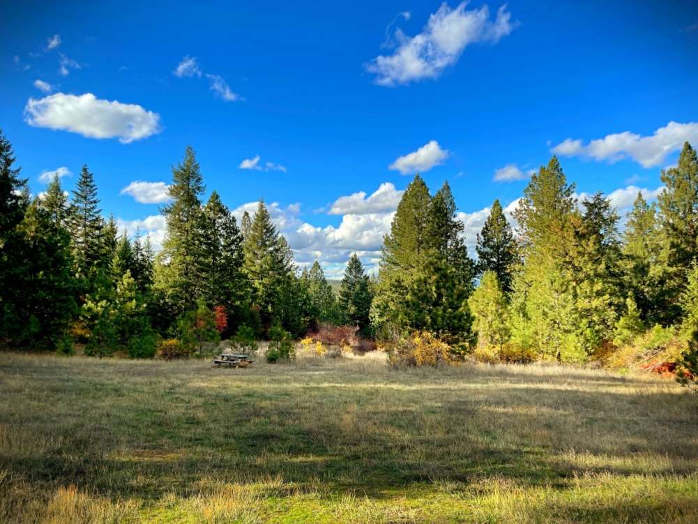 listing-61b0080d1f53c-Gunnar.jpg