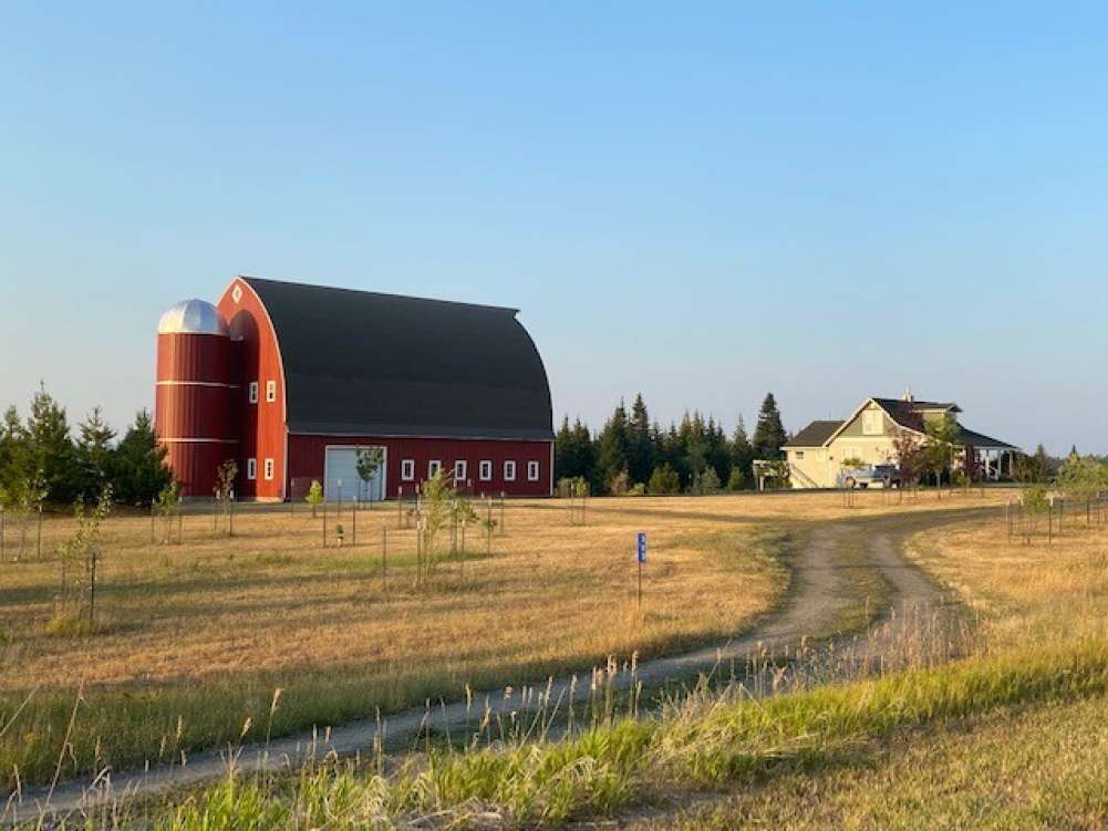 listing-6245fdf5e3cbc-thumbnail_IMG_4001.jpg