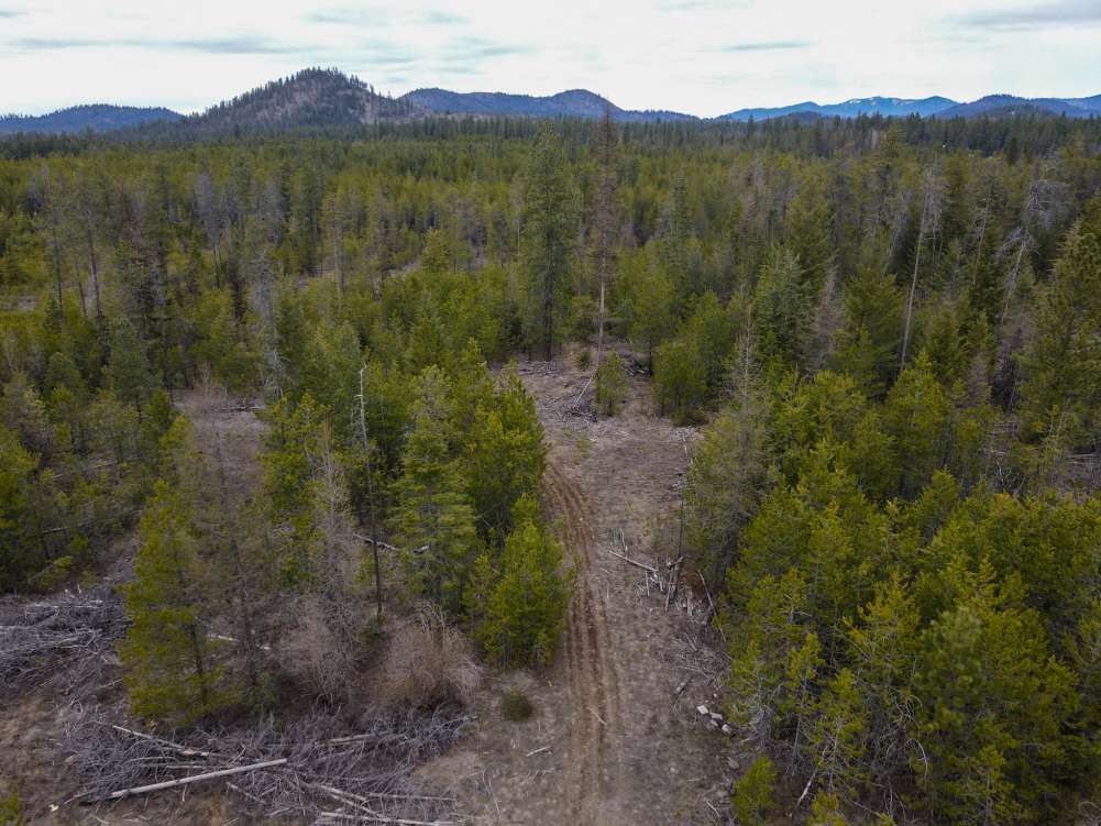 listing-6261e3e7b45c4-dji_export_16499754516971.jpg