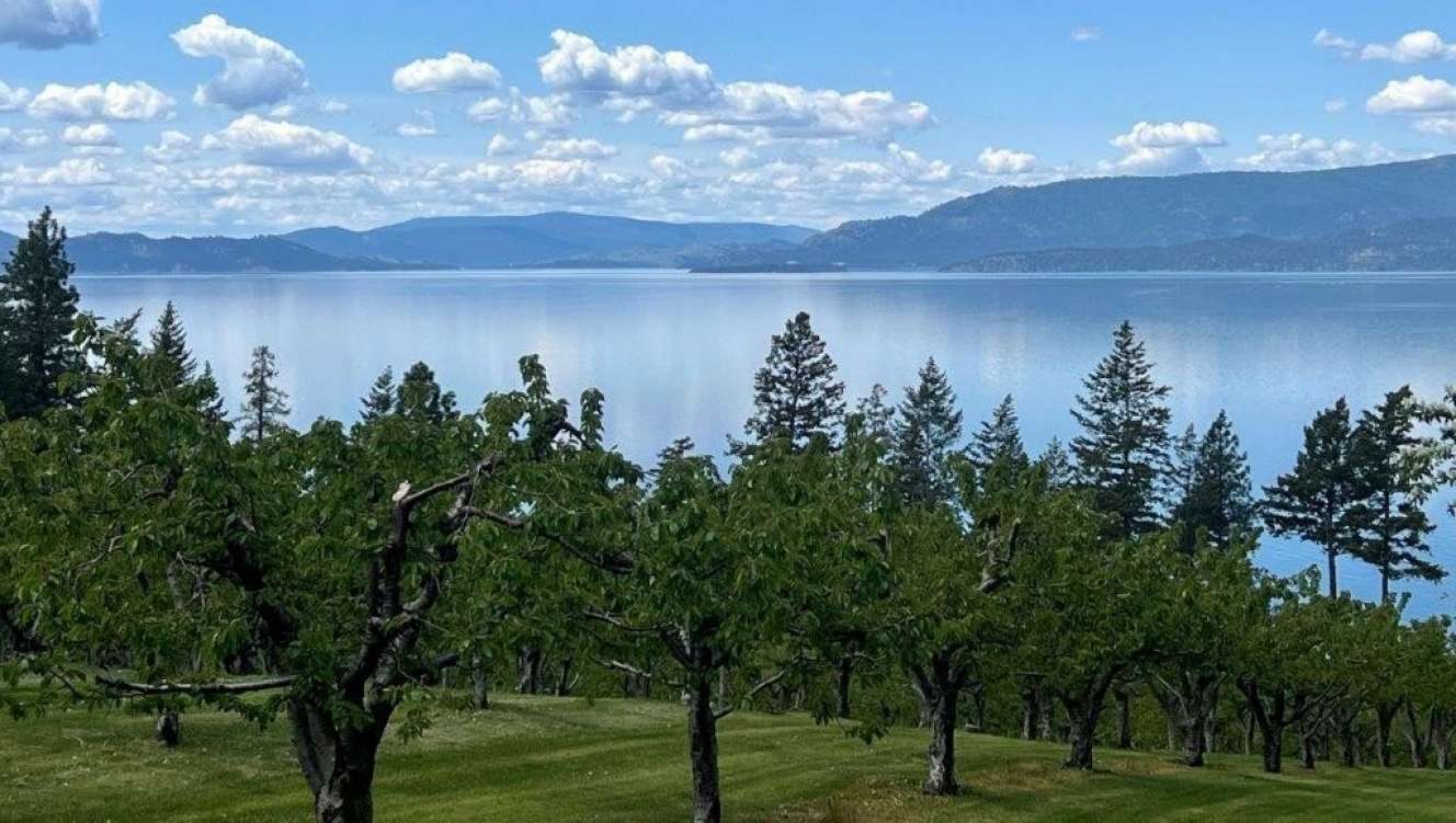 listing-629a8a310d1a3-FlatheadLakeHomesite_01.jpg