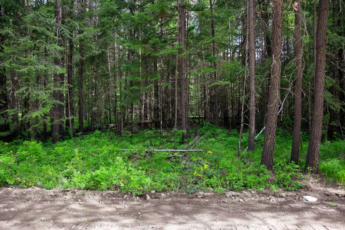 listing-629bce841d362-IMG_0446.jpg