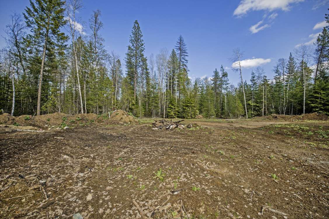 listing-62ab7f24a92d3-163WildFawnRoad_46.jpg