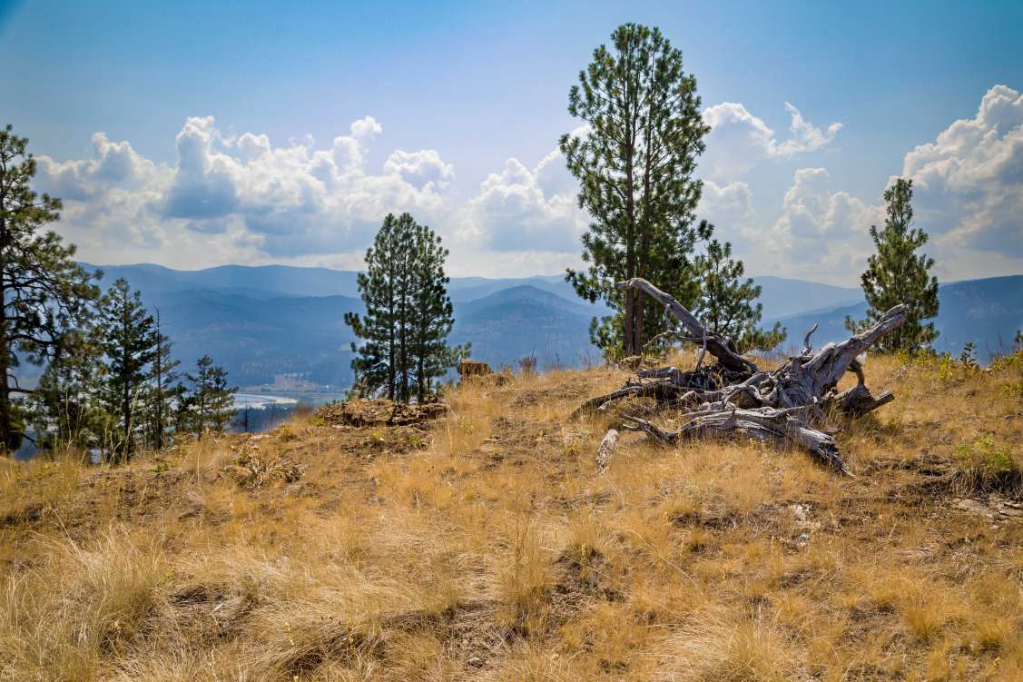 listing-64dbd26393a90-1-Lakeandpropertyviews.jpg