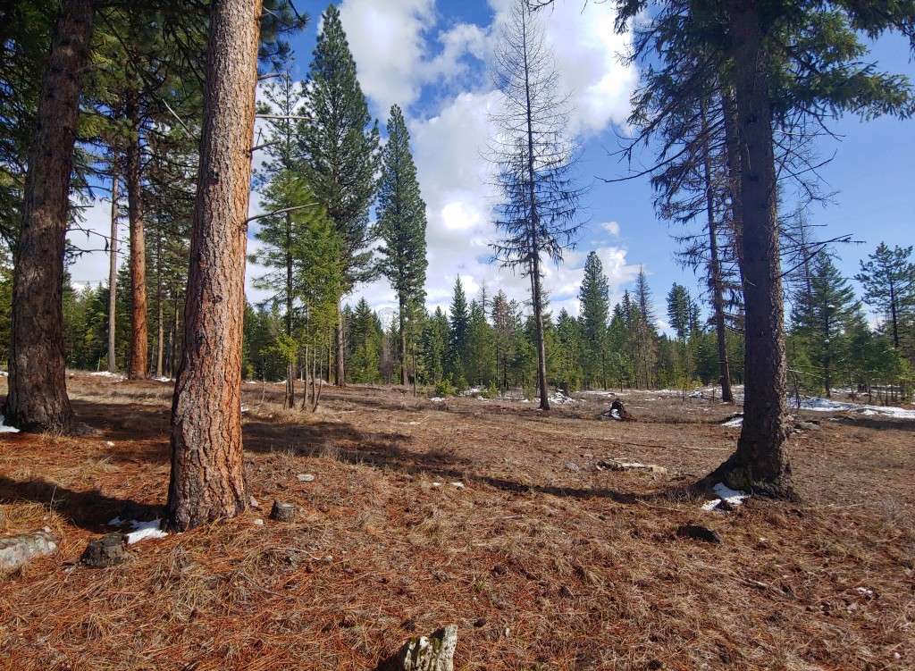 listing-67f28f88608e4-20250404_155855.jpg