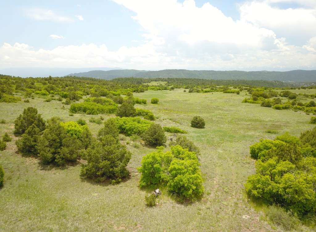 listing-68489ca45726e-DJI_0059.JPG