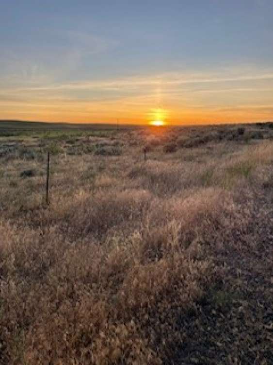 listing-687961b49873b-image31.jpeg