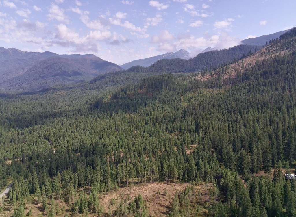 listing-68923882e10b9-4962472_100DRONE_SING0857.JPG