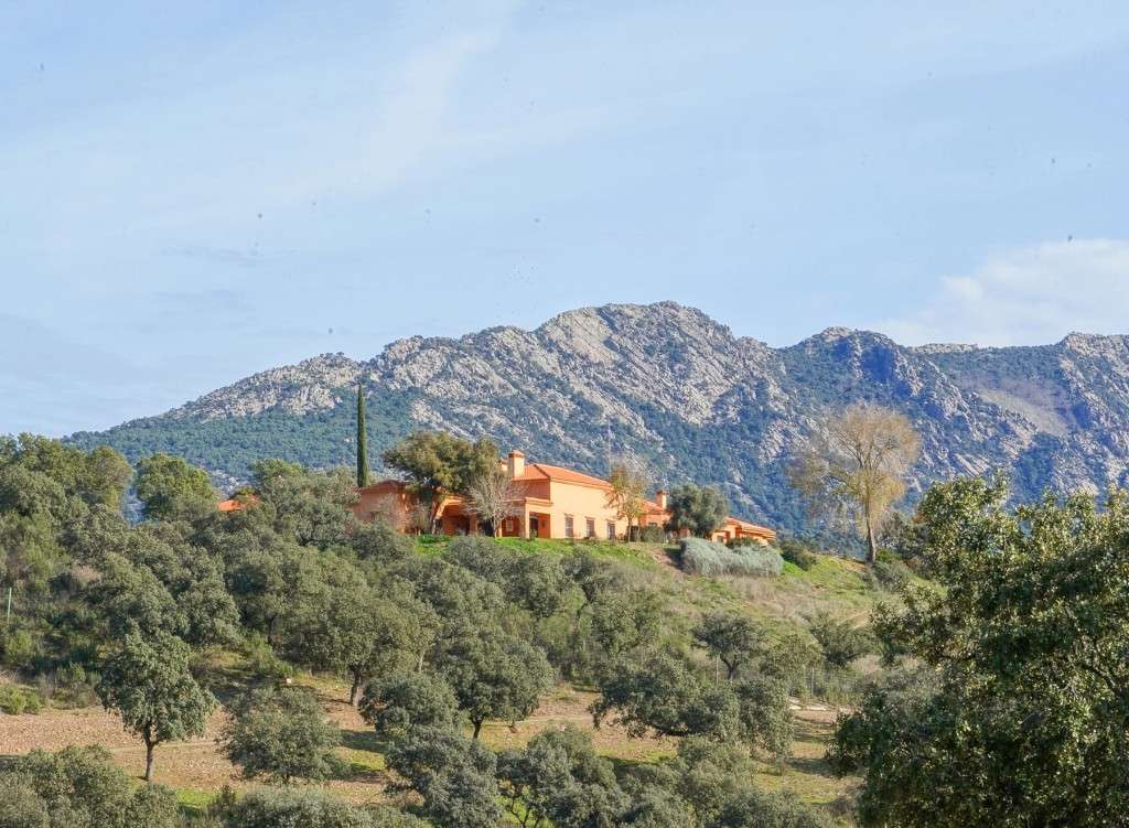 listing-68f11c570f20d-CastillaDeLaManchaSportingProperty_WWCP_07.jpg