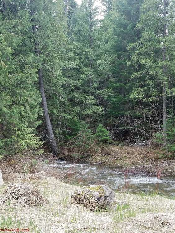 20180430_113804.jpg