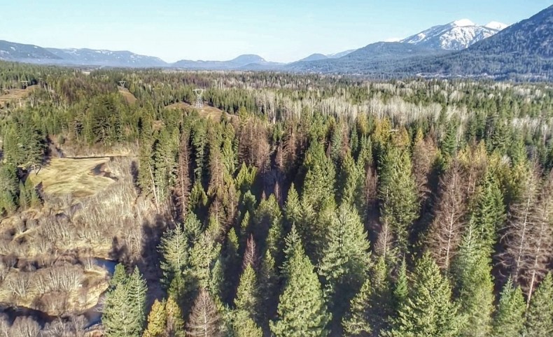 Meandering Elk Creek Sanctuary