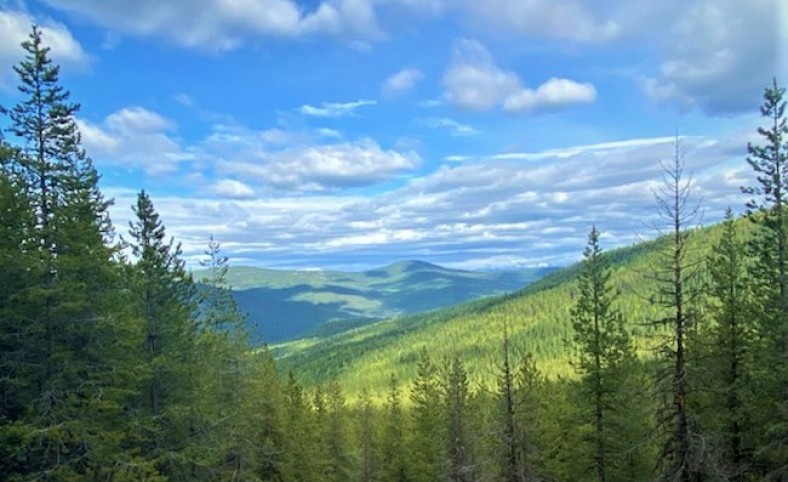 Jeru Creek Overlook