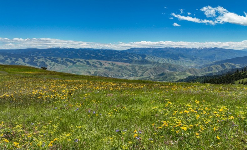 60.38 acres Twin River Ranch