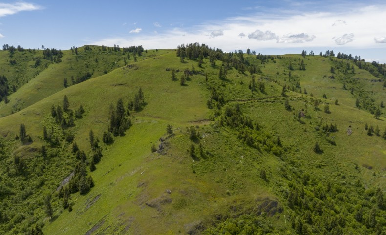 64.78 acres Twin River Ranch