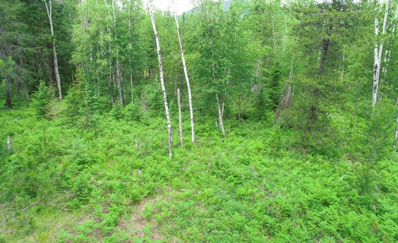 Land on the Highlands of Idaho