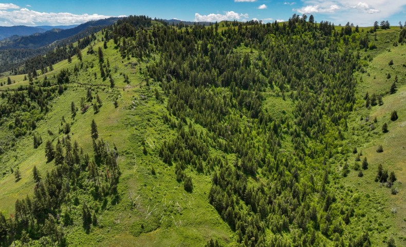 64.78 acres Twin River Ranch