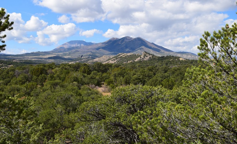 Majors Ranch - Lot 44 Ph II