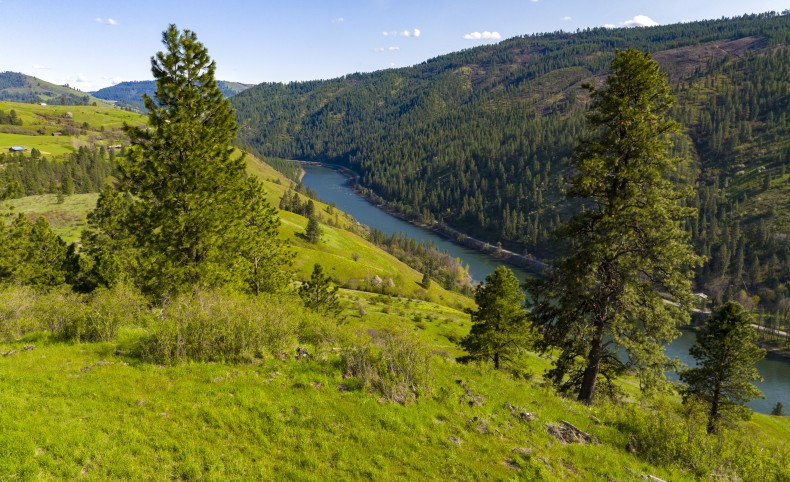 Sunnyside Bench Overlook