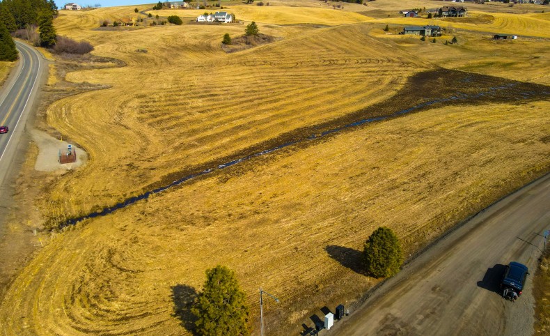 Hoffman's Palouse Views