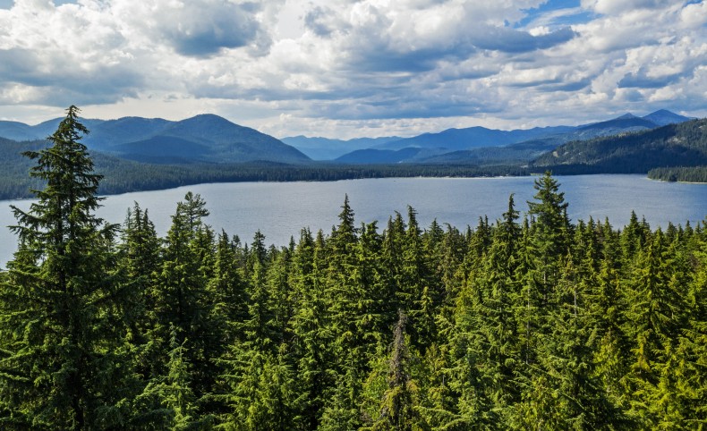 Priest Lake Beauty