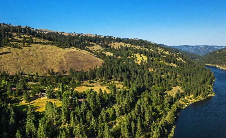 Bear Paw Lane