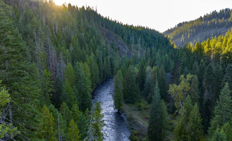 Lolo Creek Tranquility