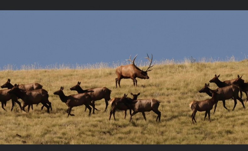 Buena Vista Ranch
