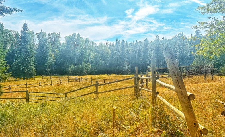 Horse Haven Ranch