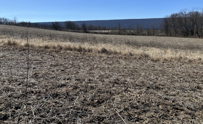 Residential/Agricultural 9.8 Acres