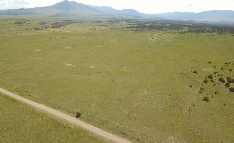 Black Hills Prairie