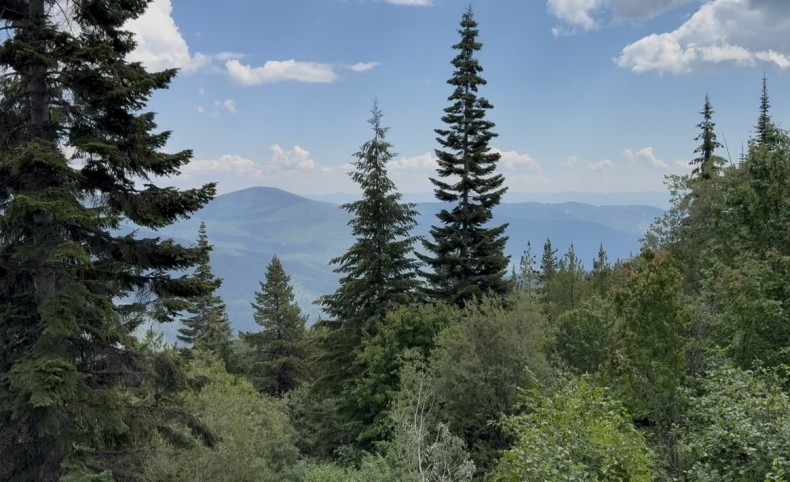 Jeru Creek Overlook