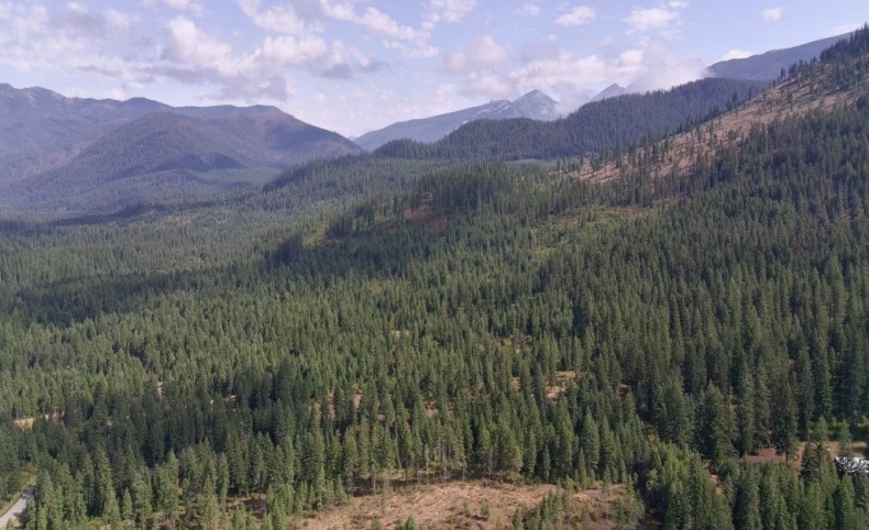 Green Ridge Views