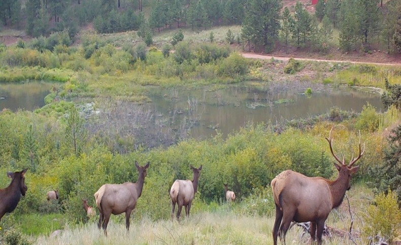 Signal Butte Base Camp