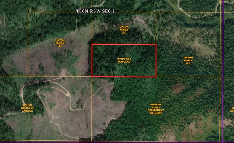 NKA Bodie Canyon Road